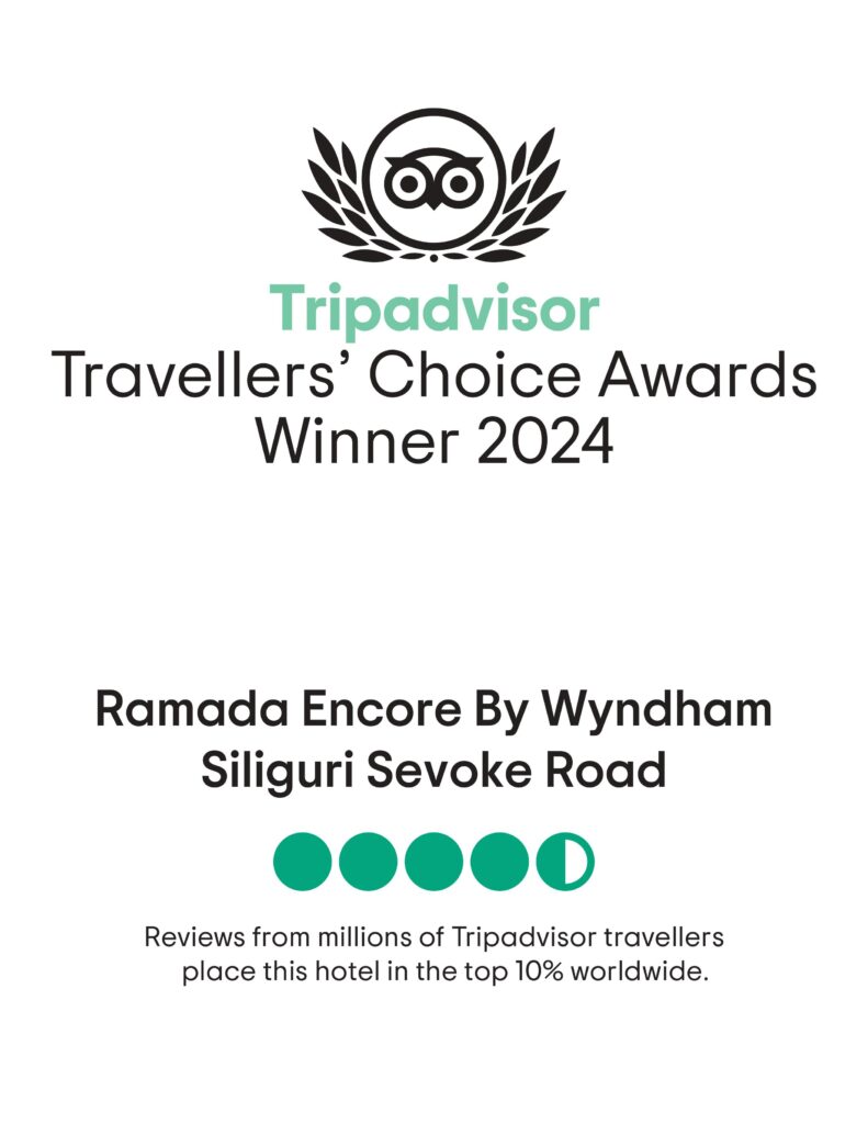 Tripadvisor traveller's choice award winner 2024